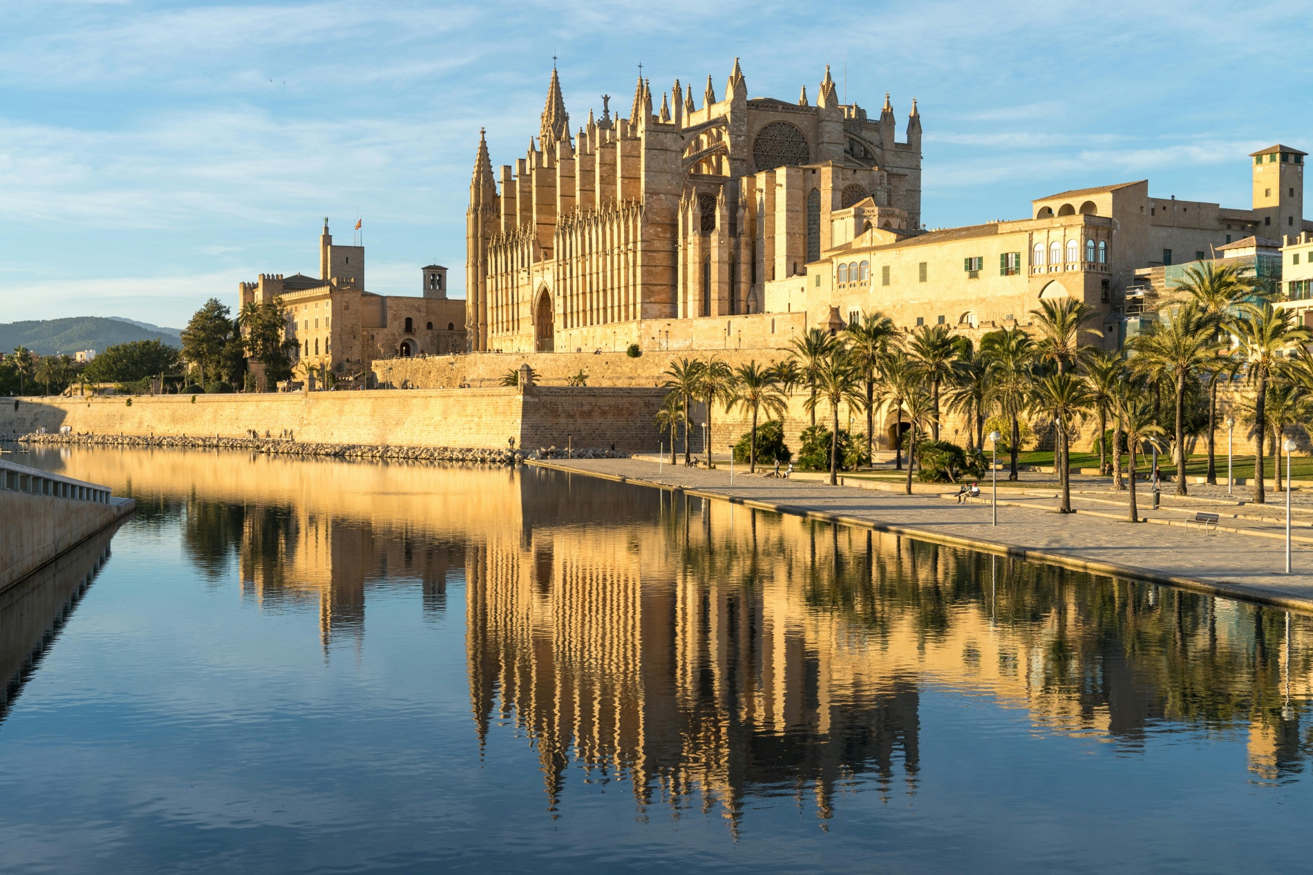 Vacaciones Palma de Mallorca alojamiento