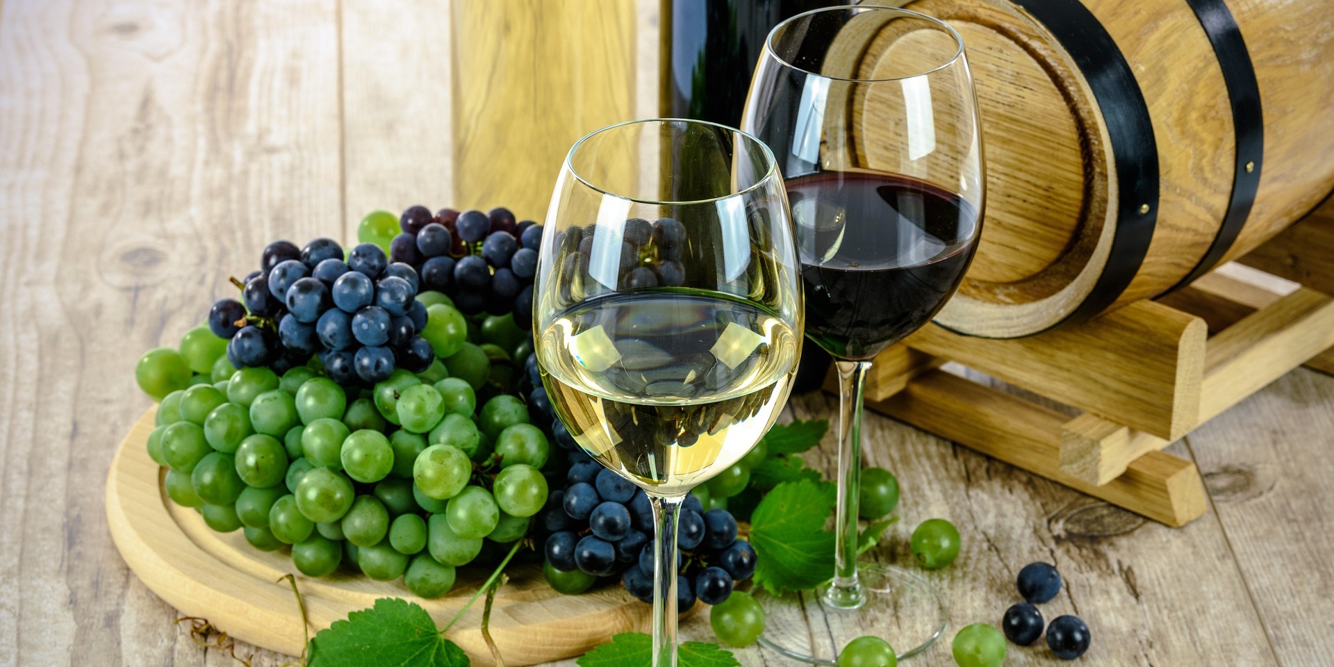Weinanbau La Palma
