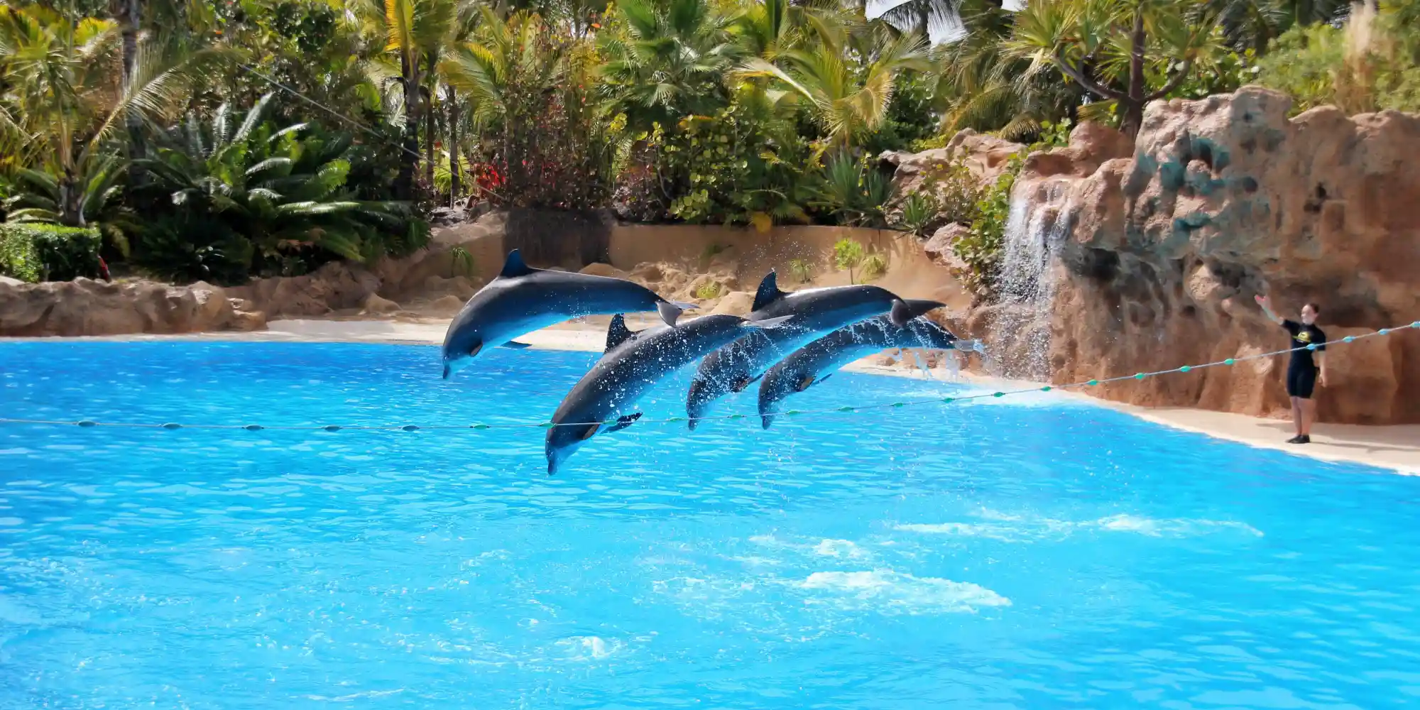 Loro Park Tenerife