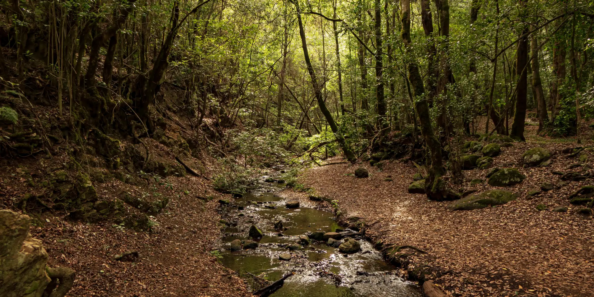 Wandern auf La Gomera