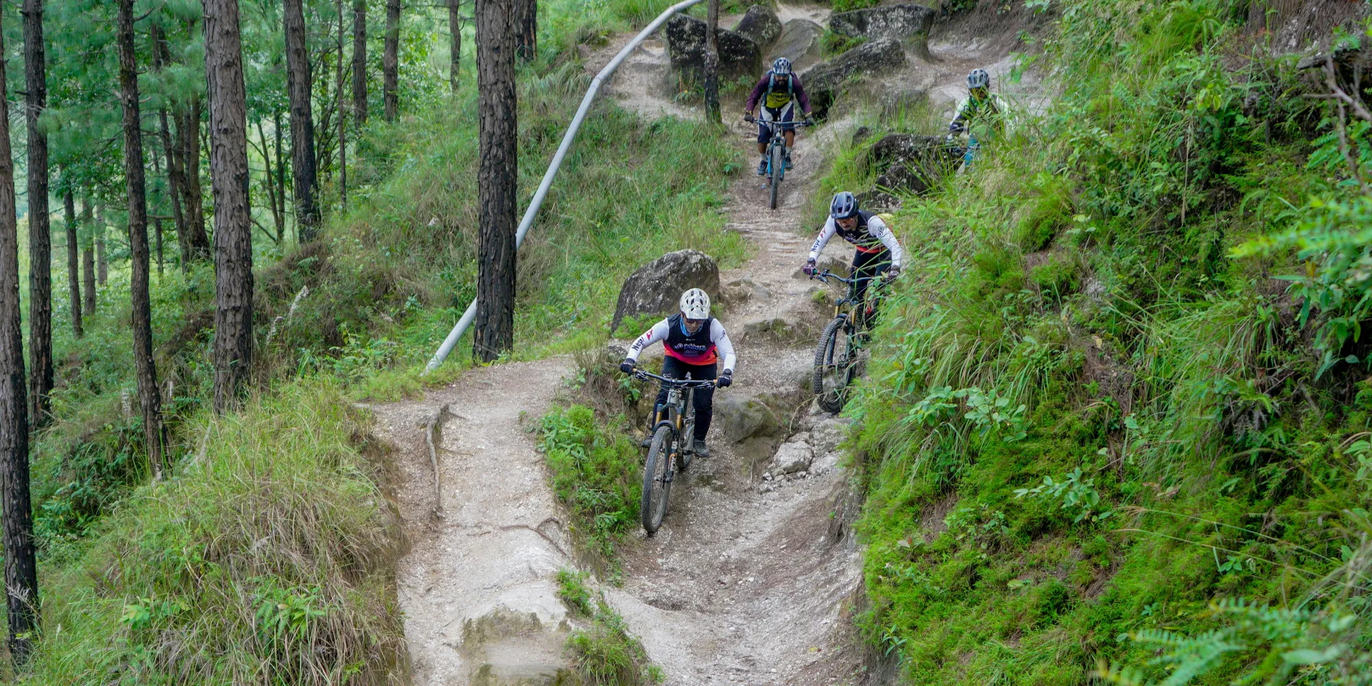 Mountainbiken La Palma