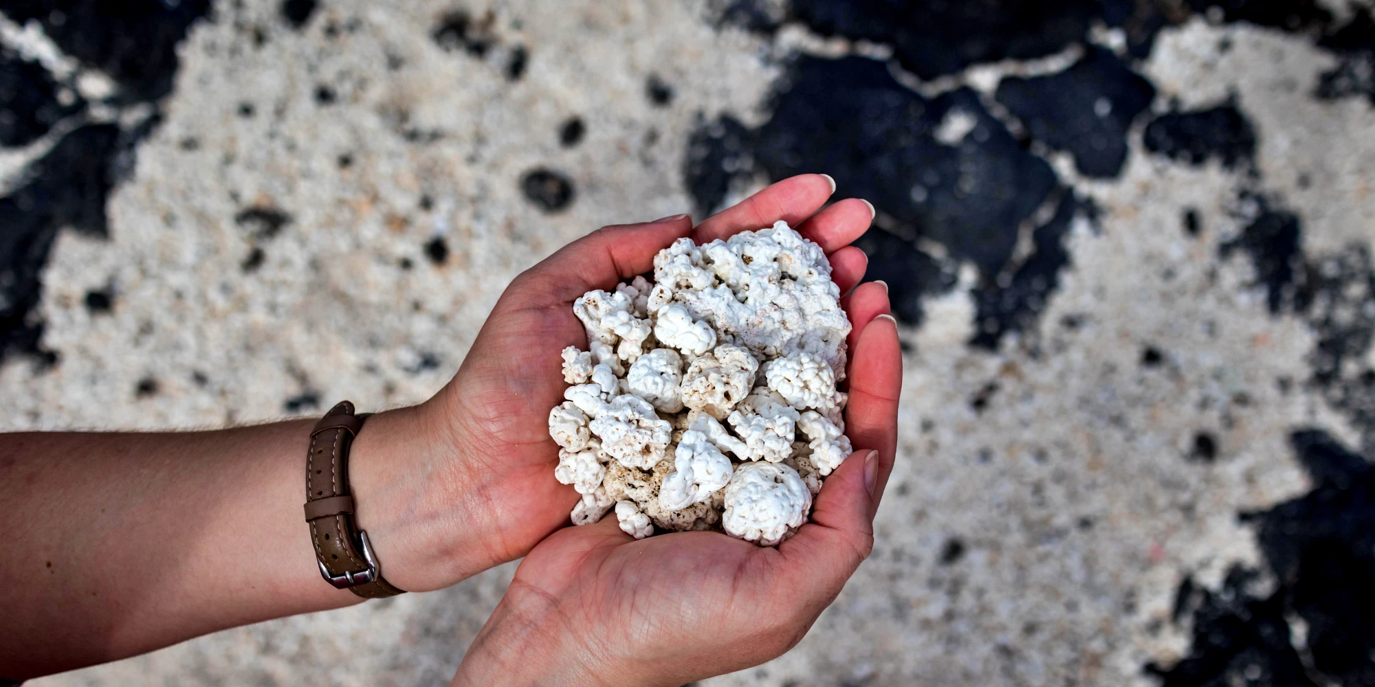 Popcorn Beach Fuerteventura
