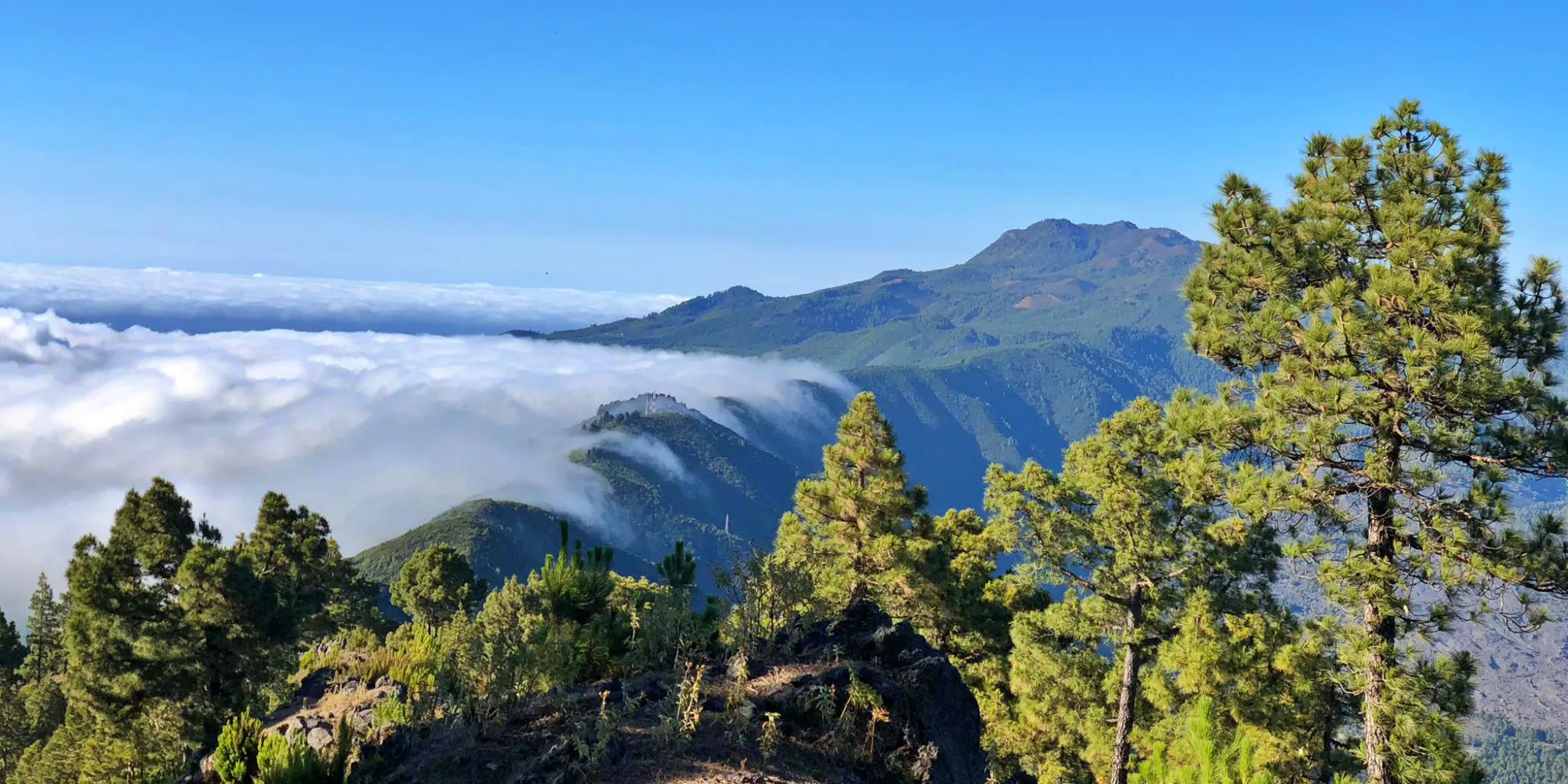 Vulkanroute La Palma