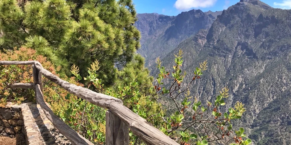 Aussichtspunkte Wandern La Palma