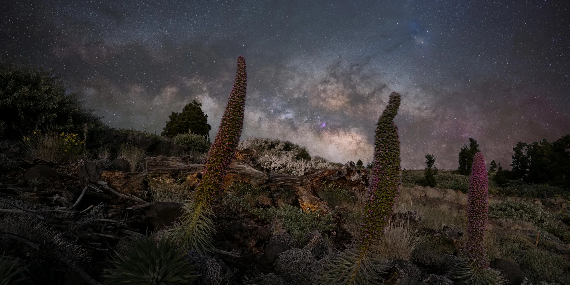 Cielo estrellado La Palma