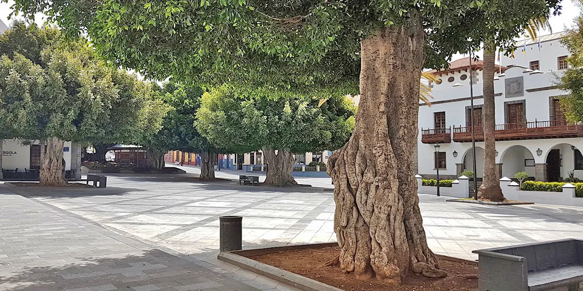 Los Llanos de Aridane La Palma