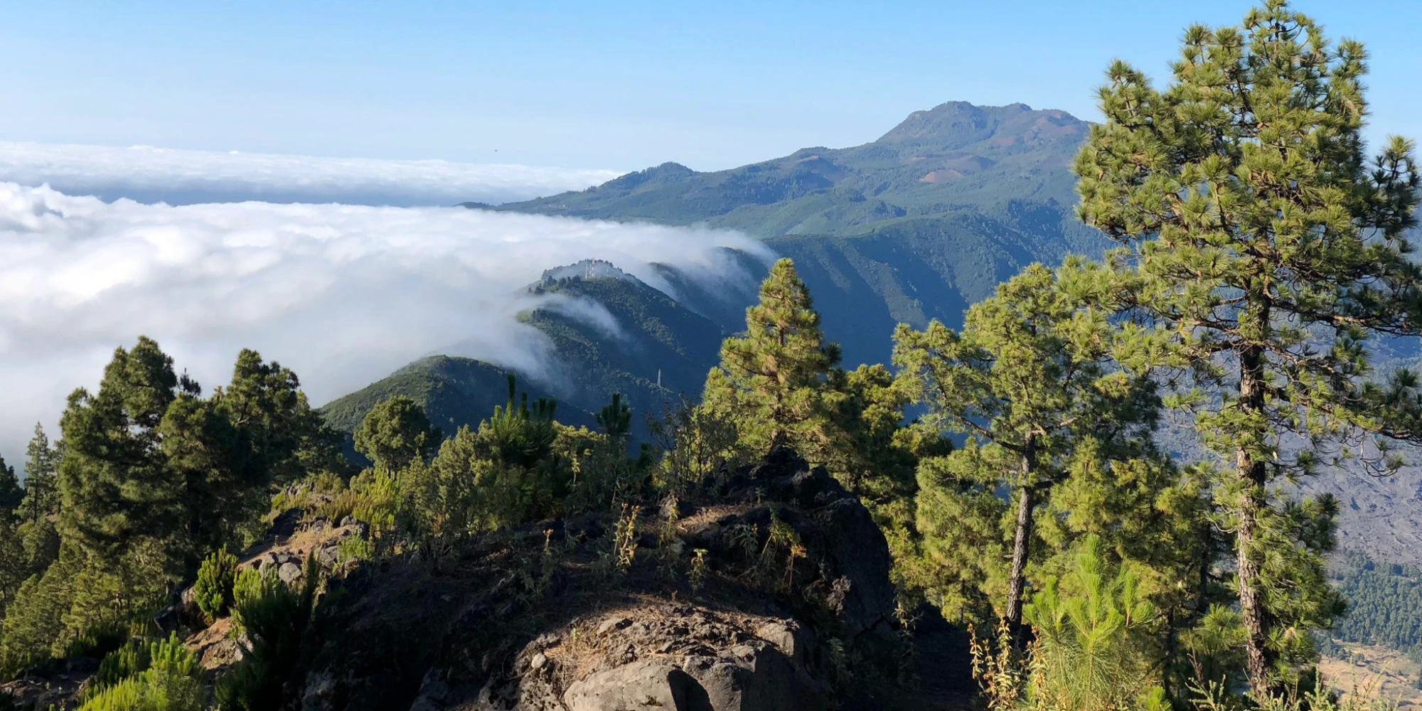 Transvulcania 2027