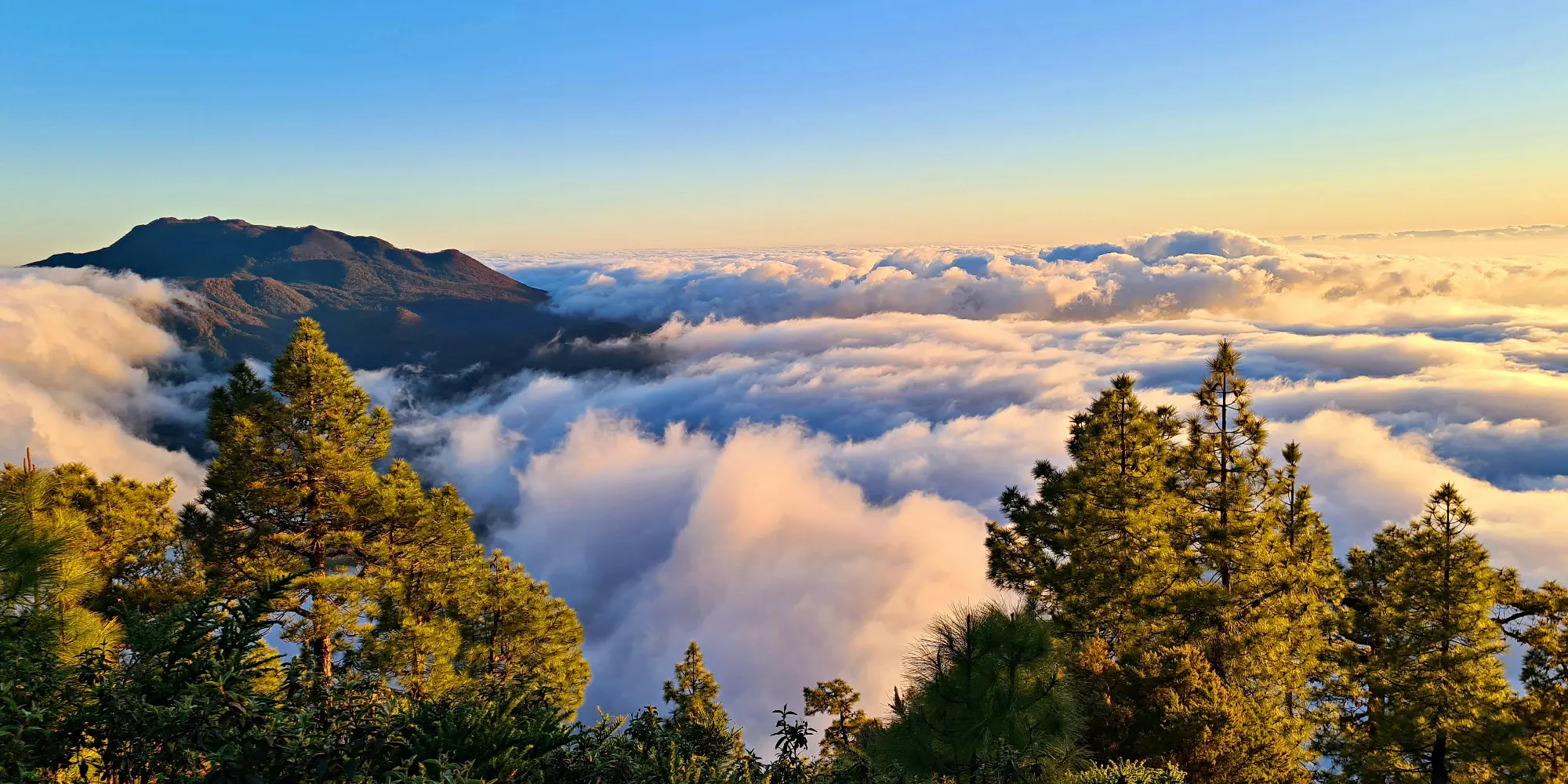 La Palma vacaciones
