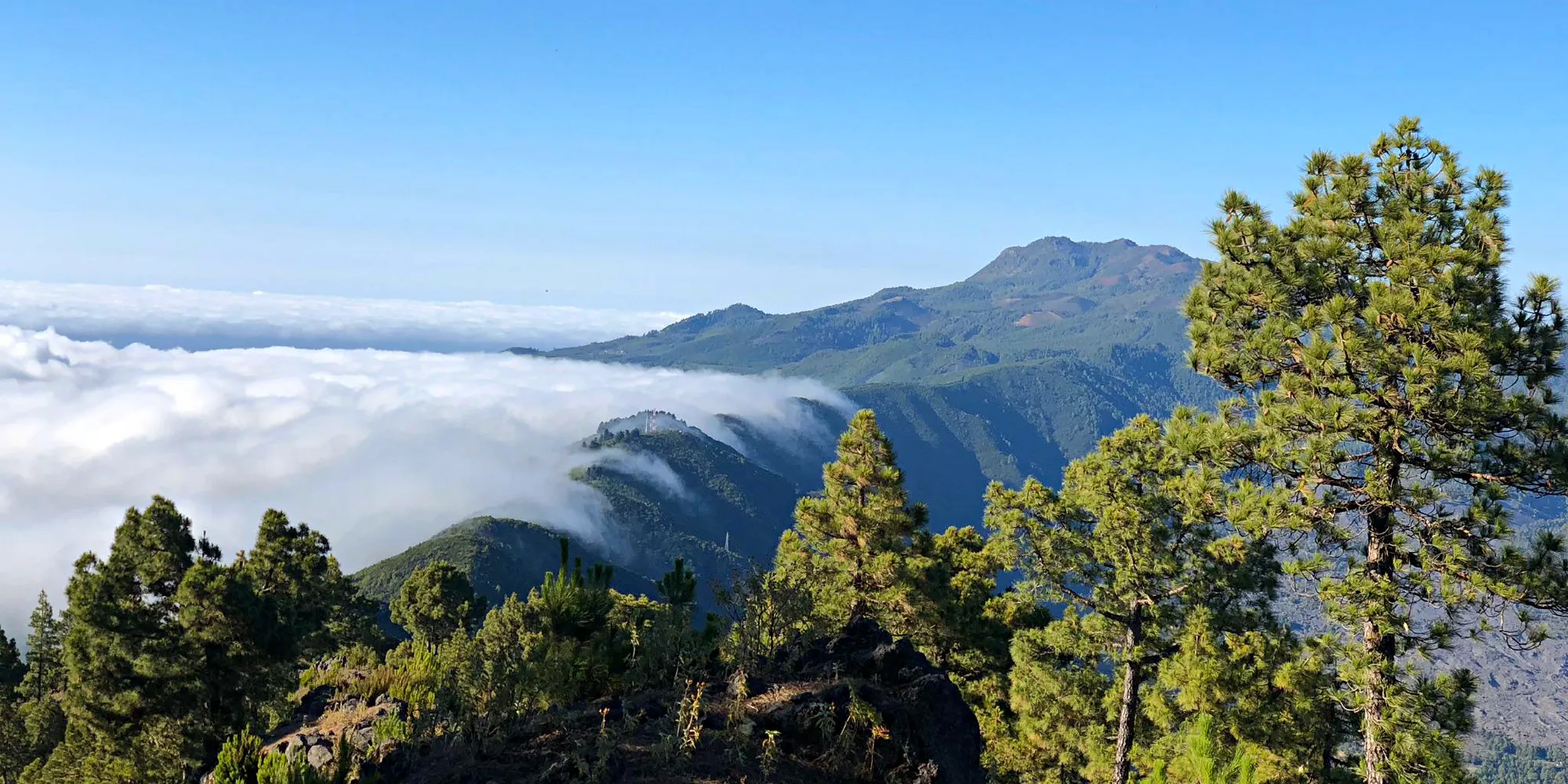 Vacaciones buceo La Palma