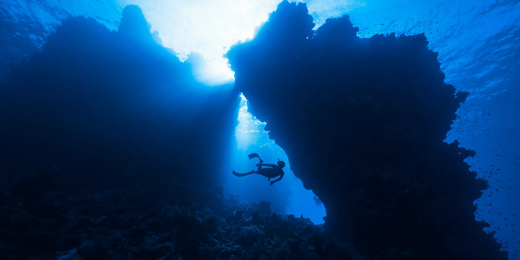 Vacaciones de buceo La Palma