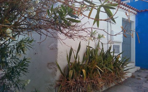 Studio in Santa Cruz de La Palma