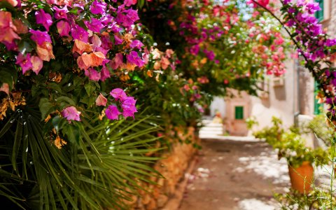 Boutique-Hotel in Banyalbufar - Mallorca