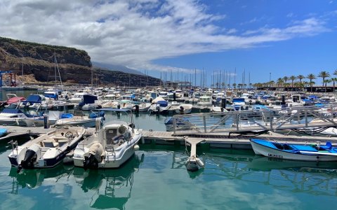 Mercadillo Puerto de Tazacorte