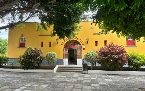 Mercado Los Llanos 