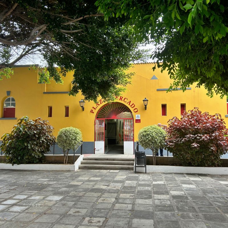 Mercado Los Llanos 