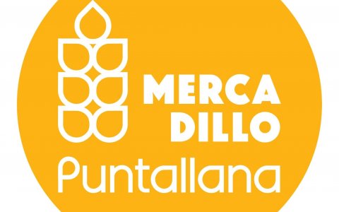 Mercadillo Puntallana