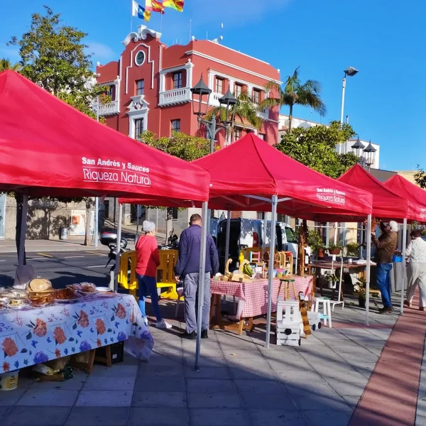 Mercadillo San Andrés y Sauces