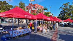 Mercadillo San Andrés y Sauces