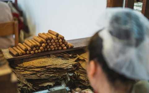 Museo del Puro Palmero