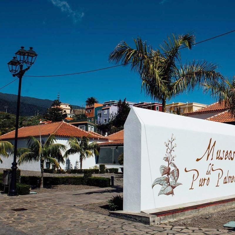 Museo de la Fiesta de las Cruces