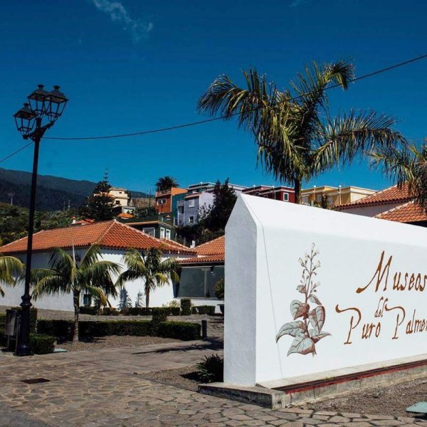 Museo de la Fiesta de las Cruces