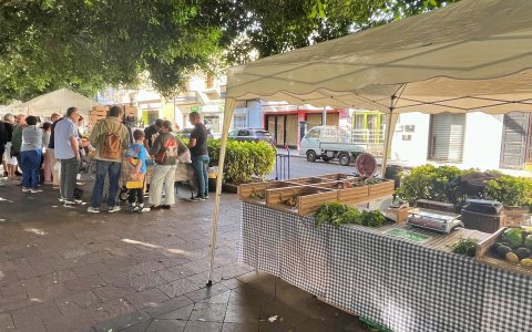 Mercadillo Los Llanos