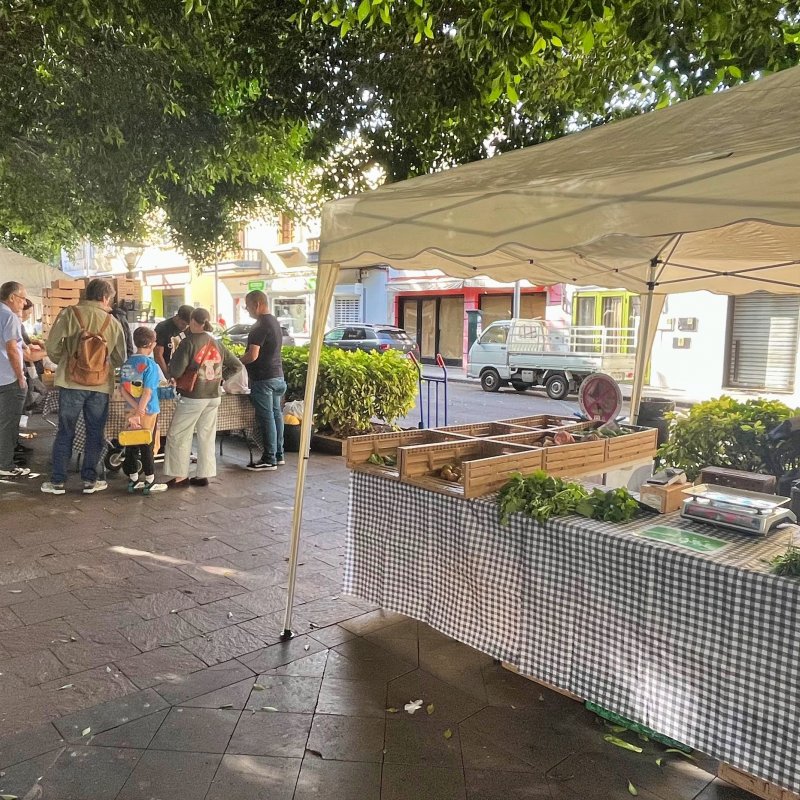 Mercadillo Los Llanos