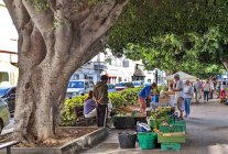 Mercadillo Los Llanos