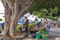 Mercadillo Los Llanos