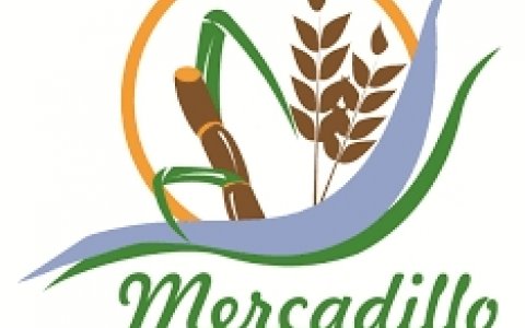 Mercadillo Barlovento